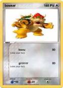 bowser