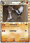 karaté ka