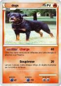 dogs
