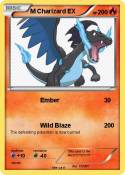 M Charizard