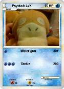 Psyduck LvX