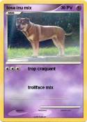 tosa inu mix