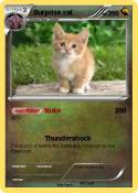 Surprise cat