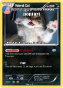 Wierd Cat