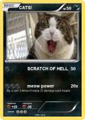 CATS!