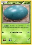 emu egg #65789