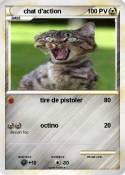 chat d'action