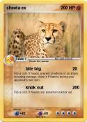 cheeta ex