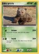 baby grizzly