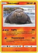 Weird animal