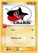 Owls