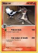Ninja cat