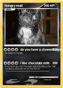 hungry mutt