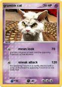 grumble cat