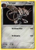 Tri head
