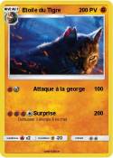 Etoile du Tigre