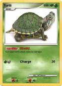 Turtli
