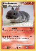 Super.Bunny