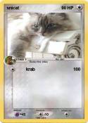 snicat