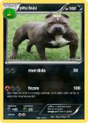 pitu buu