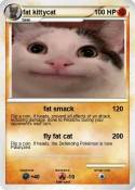 fat kittycat