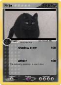 Ninja