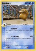 Sam Duck