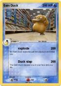 Sam Duck