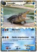 Crocodile
