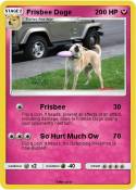 Frisbee Doge