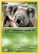 коала