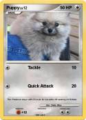 Puppy
