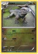 Lizard