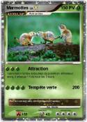 Marmottes