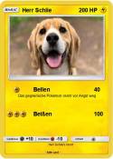 Herr Schlie