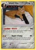 Attack Kitty