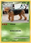 airedale