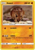Rodent