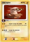 chat espion