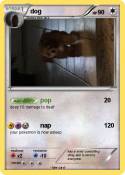 dog