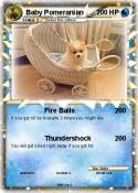 Baby Pomeranian