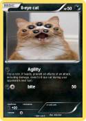 8-eye cat