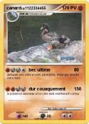 canard