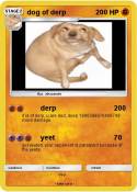 dog of derp