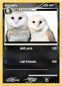 Swoop's