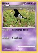 pie noir