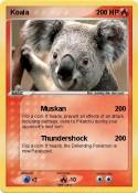 Koala