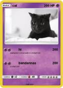 cat