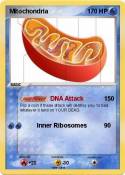 Mitochondria