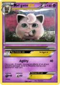 el gato